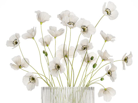 Bouquet of white wild flowers in a vase Poppy 450 3D Model