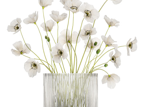 Bouquet of white wild flowers in a vase Poppy 450 3D मॉडल