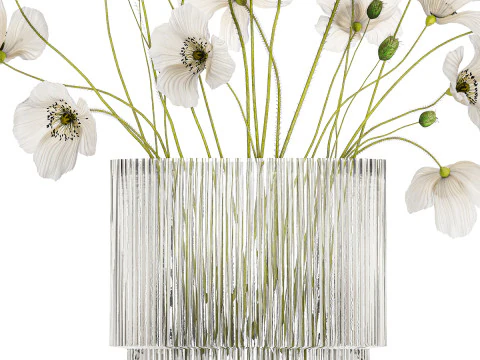 Bouquet of white wild flowers in a vase Poppy 450 3D Model