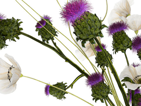Bouquet Of White Wild Flowers in a vase Poppy Thistle 451 Modello 3D