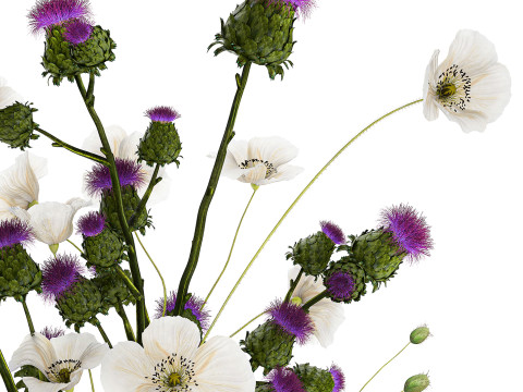 Bouquet Of White Wild Flowers in a vase Poppy Thistle 451 Modello 3D