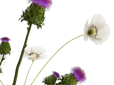 Bouquet Of White Wild Flowers in a vase Poppy Thistle 451 3D Model