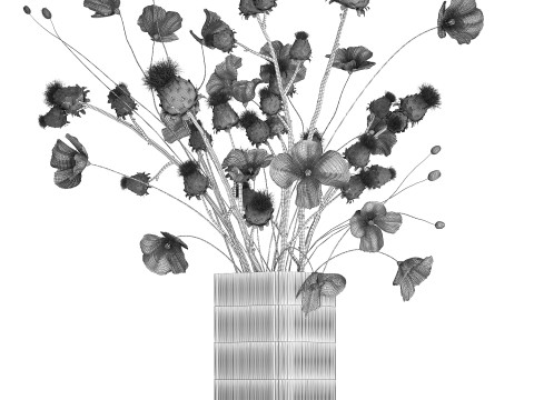 Bouquet Of White Wild Flowers in a vase Poppy Thistle 451 Modello 3D