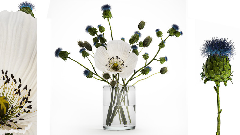 Bouquet Of White Wild Flowers Poppy Thistle Thorn 452 3D मॉडल .c4d .max .obj .3ds .fbx .stl .blend