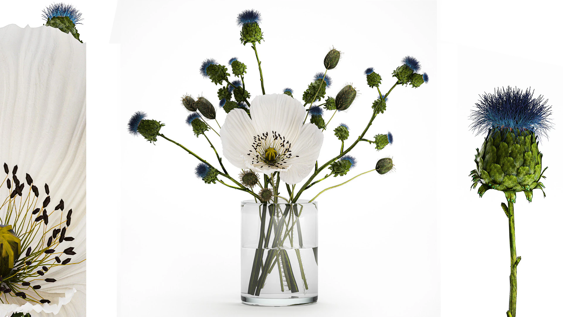 Bouquet Of White Wild Flowers Poppy Thistle Thorn 452 3D Model .c4d .max .obj .3ds .fbx .stl .blend 