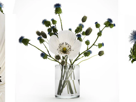 सफ़ेद जंगली फूलों का गुलदस्ता पोस्ता थीस्ल थॉर्न 452 3D मॉडल