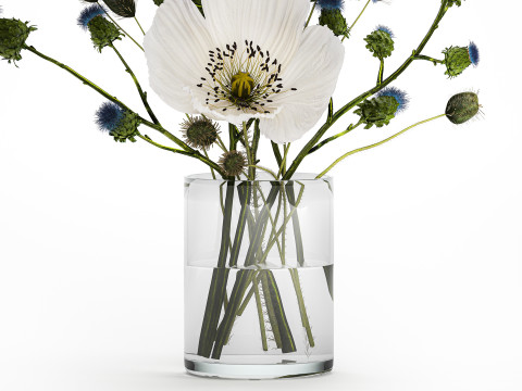 Bouquet Of White Wild Flowers Poppy Thistle Thorn 452 3D मॉडल