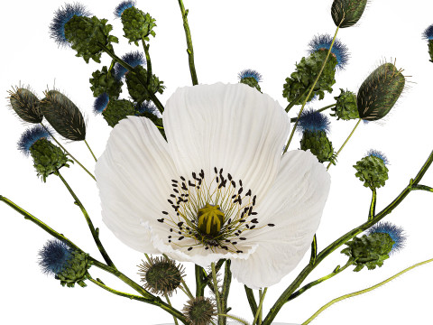 Bouquet Of White Wild Flowers Poppy Thistle Thorn 452 3D मॉडल