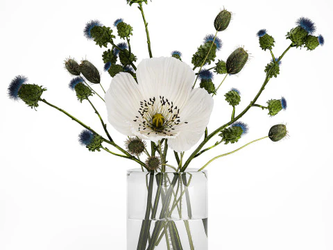 Bouquet Of White Wild Flowers Poppy Thistle Thorn 452 3D Model