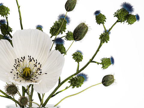 Bouquet Of White Wild Flowers Poppy Thistle Thorn 452 3D मॉडल