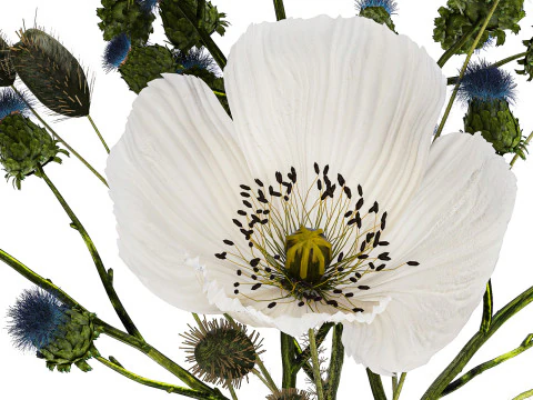 Bouquet Of White Wild Flowers Poppy Thistle Thorn 452 3D Model