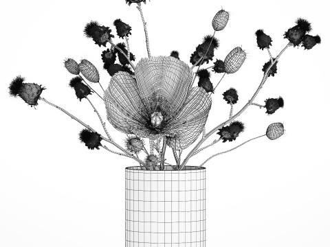 Bouquet Of White Wild Flowers Poppy Thistle Thorn 452 3D मॉडल