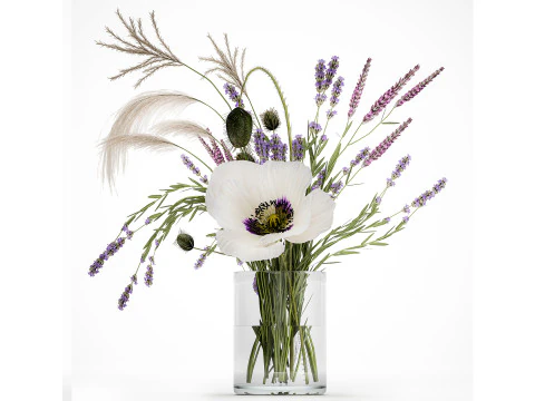 Bouquet white wild flowers poppy Lavender pampas 453 3D Model