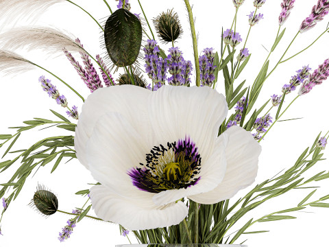 Bouquet white wild flowers poppy Lavender pampas 453 3D Model