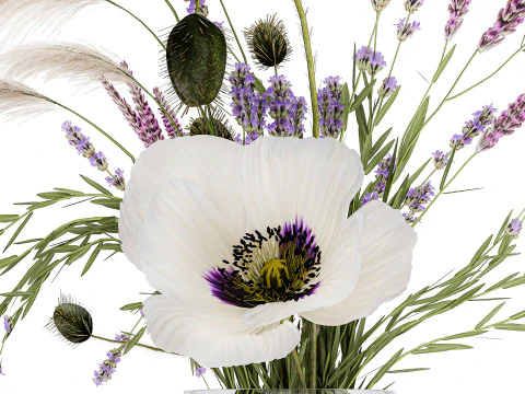 Bouquet white wild flowers poppy Lavender pampas 453 3D Model