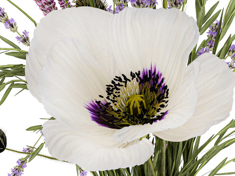 Bouquet white wild flowers poppy Lavender pampas 453 3D Model