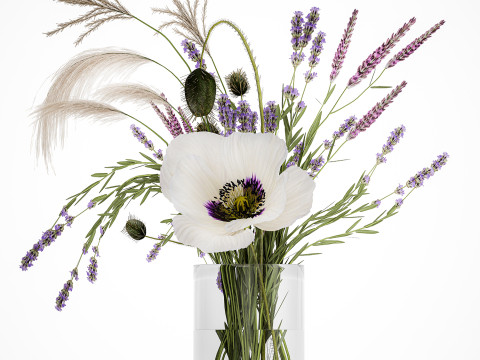 Bouquet white wild flowers poppy Lavender pampas 453 3D Model