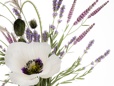Bouquet white wild flowers poppy Lavender pampas 453 3D Model