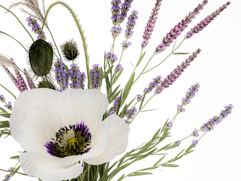 Bouquet white wild flowers poppy Lavender pampas 453 3D Model