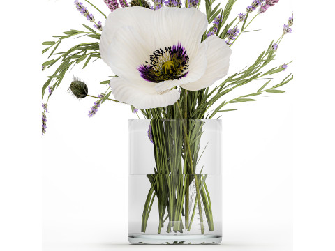 Bouquet white wild flowers poppy Lavender pampas 453 3D Model
