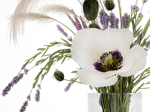 Bouquet white wild flowers poppy Lavender pampas 453 3D Model