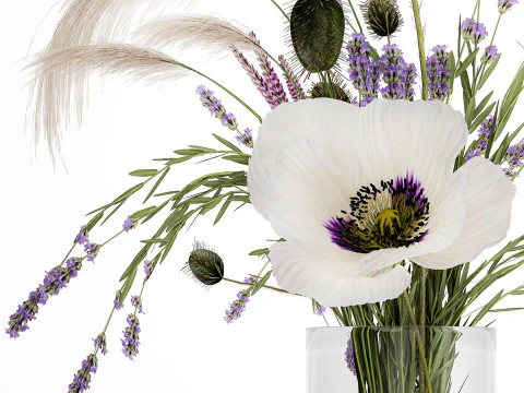 Bouquet white wild flowers poppy Lavender pampas 453 3D Model
