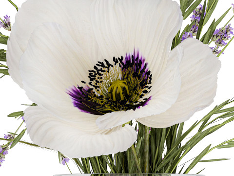 Bouquet white wild flowers poppy Lavender pampas 453 3D Model