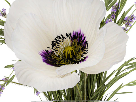 Bouquet white wild flowers poppy Lavender pampas 453 3D Model