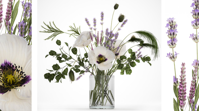 Bouquet White Wild Flowers Poppy Lavender Pampas 454 Modèle 3D .c4d .max .obj .3ds .fbx .stl .blend