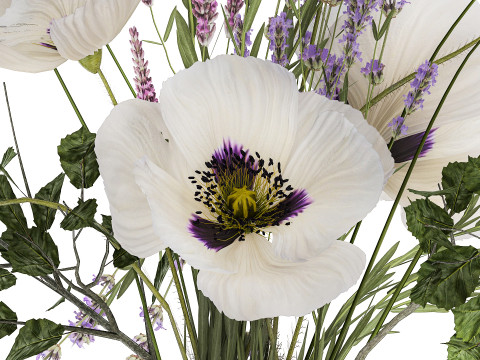 Bouquet White Wild Flowers Poppy Lavender Pampas 454 Modèle 3D