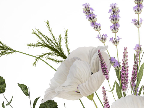 Bouquet White Wild Flowers Poppy Lavender Pampas 454 Modèle 3D