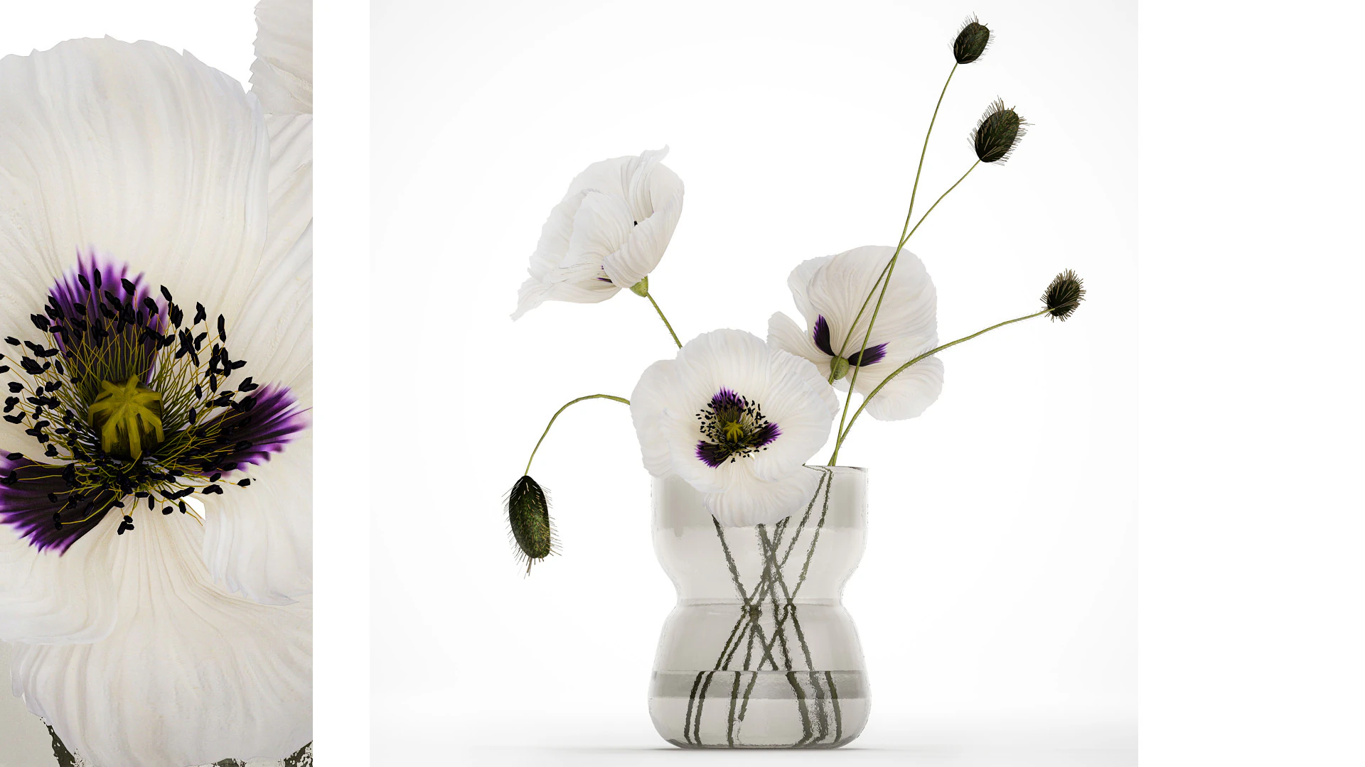 Bouquet Of White Wild Flowers In A Vase Poppy 455 3D Model .c4d .max .obj .3ds .fbx .stl .blend 