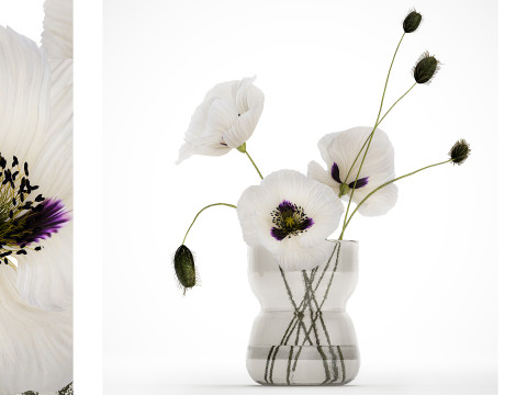 Bouquet Of White Wild Flowers In A Vase Poppy 455 3Dモデル