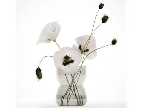 Bouquet Of White Wild Flowers In A Vase Poppy 455 3D Model