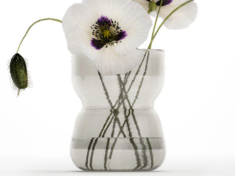 Bouquet Of White Wild Flowers In A Vase Poppy 455 3D Model