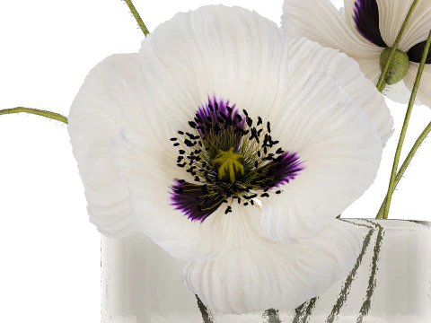 Bouquet Of White Wild Flowers In A Vase Poppy 455 3D Model