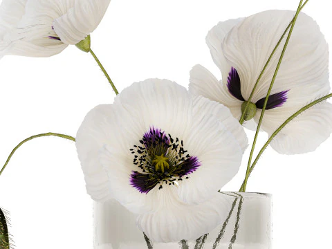 Bouquet Of White Wild Flowers In A Vase Poppy 455 3D Model