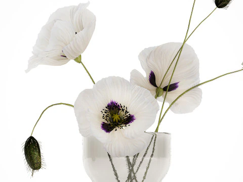 Bouquet Of White Wild Flowers In A Vase Poppy 455 3D Model
