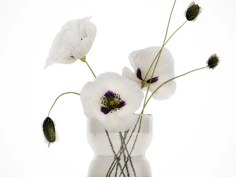 Bouquet Of White Wild Flowers In A Vase Poppy 455 3D Model