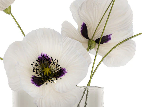 Bouquet Of White Wild Flowers In A Vase Poppy 455 3D Model