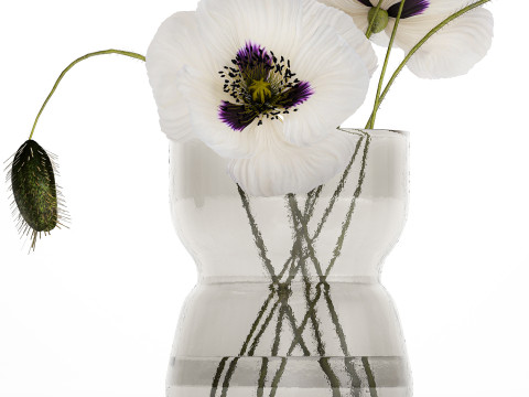 Bouquet Of White Wild Flowers In A Vase Poppy 455 3Dモデル