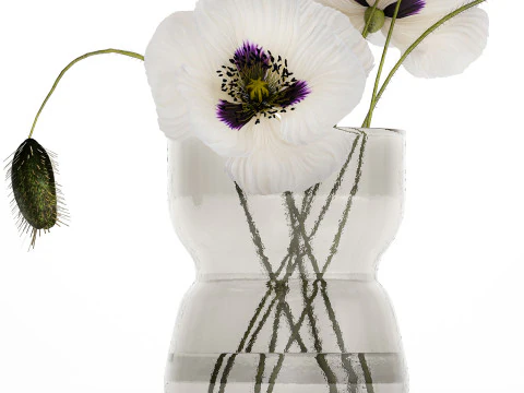Bouquet Of White Wild Flowers In A Vase Poppy 455 3D Model