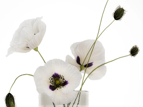 Bouquet Of White Wild Flowers In A Vase Poppy 455 3D Model