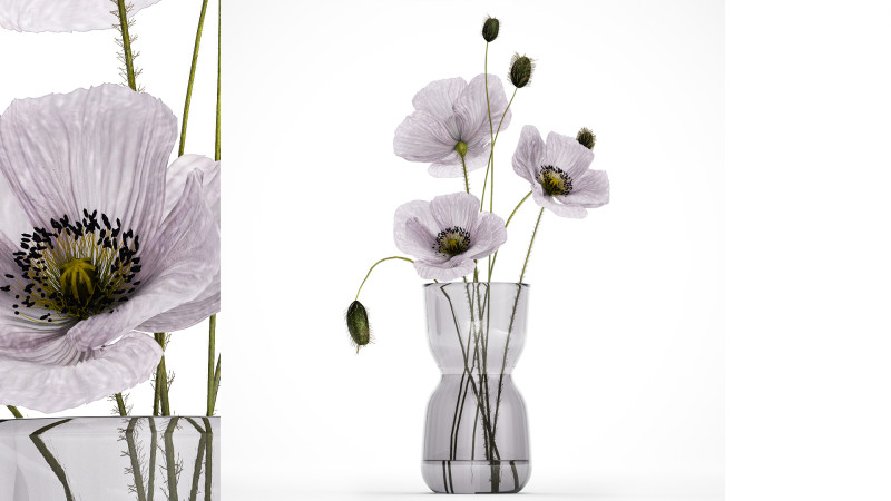 Bouquet Of Purple Flowers Icelandic Poppy 456 3D Model .c4d .max .obj .3ds .fbx .stl .blend 