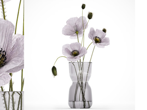 Bouquet Of Purple Flowers Icelandic Poppy 456 3D Model