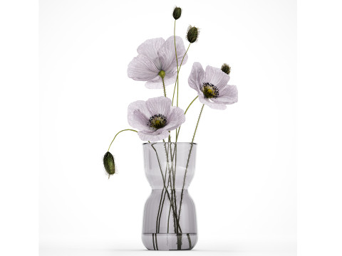 Bouquet Of Purple Flowers Icelandic Poppy 456 3D Model