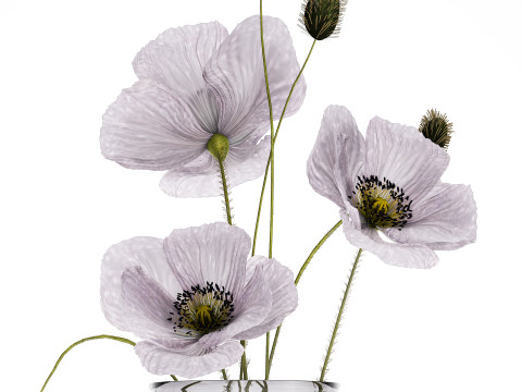 Bouquet Of Purple Flowers Icelandic Poppy 456 3D Model