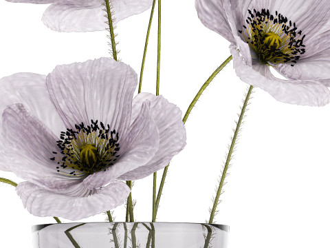 Bouquet Of Purple Flowers Icelandic Poppy 456 3D Model