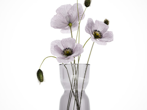 Bouquet Of Purple Flowers Icelandic Poppy 456 3D Model