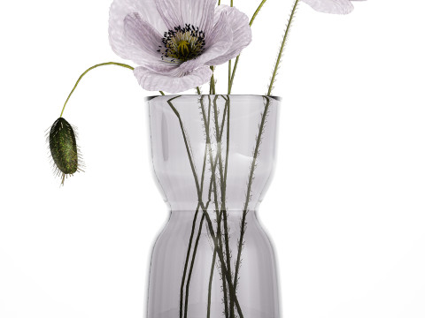 Bouquet Of Purple Flowers Icelandic Poppy 456 3D Model